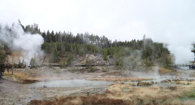 A landscape view with a row of tall green fir trees covering a hill in the distance against a sky of grey. At the base of the hill a wooden walkway meanders through pools of grey water with wisps of steam floating off them. These are situated among brown coloured grasses in the foreground as huge plumes of steam randomly spout up into the air.
