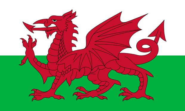 The flag of Wales, which is a red dragon passant on a white (top) and green (bottom) background