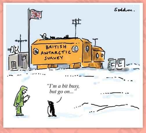 Penguin standing outside British Antarctic Survey station. A person is hold long a clip board and leaning towards the penguin. The penguin says I’m a bit busy but go on…