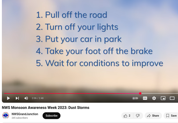 1. Pull off the road
2. Turn off your lights
3. Put your car in park
4. Take your foot off the brake
5. Wait for conditions to improve