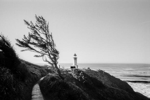 Fine art black and white photo of the lighthouse at cape dissapointment with a leaning tree shaped by the wind.