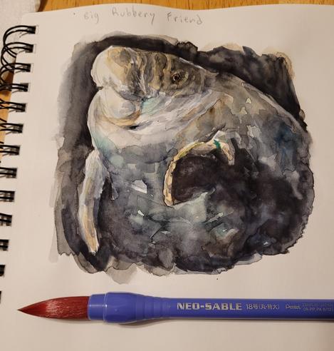 Watercolor manatee on a spiral-bound sketchbook page. "Big Rubbery Friend" is written in pencil at the top of the page. Watercolor is blues and tans on dark background. The described brush is visible at the bottom of the picture. It has a purple plastic handle.