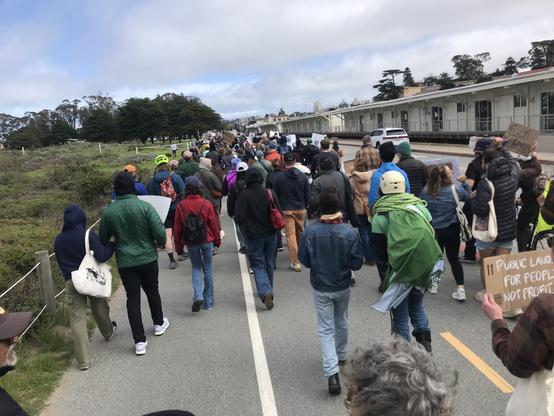 Marchers are shown from behind on a sidewalk. Plants are to the left of the sidewalk and a two-lane road and a long, low building are to the right.