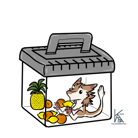 Digital art of a sergal character in a small, grey lidded terrarium filled with lemons, oranges, and a pineapple.