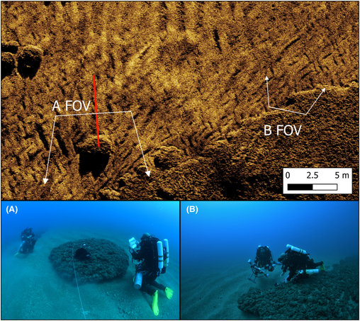 A high-resolution synthetic aperture sonar (SAS) backscatter image (top), with field of view (FOV) of the representative images from a closed-circuit dive at a 33 m deep rock-sand interface in Bustan HaGalil Ridge. The red line represents the transect line seen in image A.