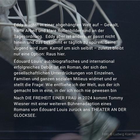 DAS ENDE VON EDDY – Theatersolo am 14. + 15. März 2025