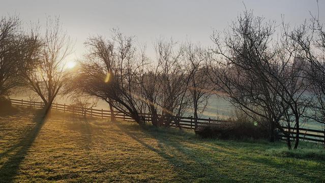 The image shows a serene outdoor scene with the sun low in the sky, during sunrise. It showcases leafless trees casting long shadows on a grassy field. In the background, there is a wooden fence running horizontally. The light creates a warm and peaceful atmosphere.