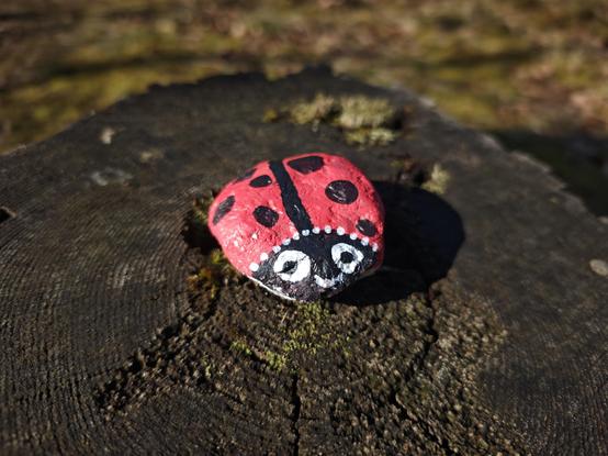 A stone, painted as a ladybug, is lying on a tree stump.