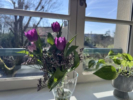 Close up on a bouquet of purple flowers in front of a window, behind the window the sky is blue and it’s a beautiful sunny day