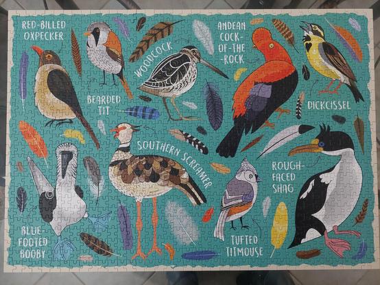 Completed jigsaw puzzle with nine illustrations of birds whose names can be read as making sexual refrrences, like "Bearded Tit" and "Southern Screamer".