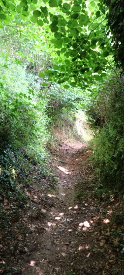 chemin creux qui relie la chapelle du Loc'h et le Guindy, à Pluzunet, Bretagne.