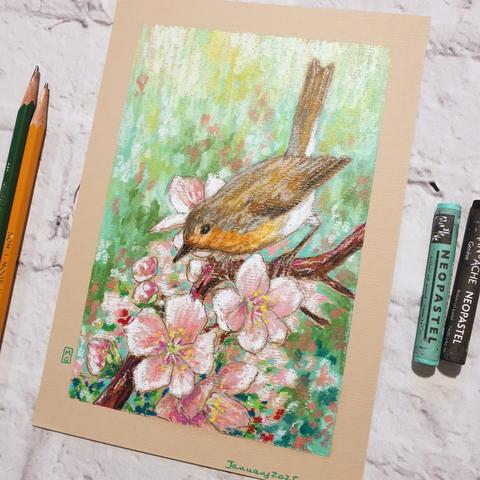 An oil pastel painting of a robin with pink spring blossoms on a green and pink background.
This is an original art work
Fine art oil pastel on toned pastel paper
Size A5 (21cm x 14.5cm)
Sold unframed