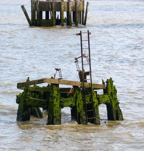 A wooden jetty in a river, its beams are green and much damaged. There's a metal ladder attached to it that sticks out higher, and several metal objects attached at various angles.