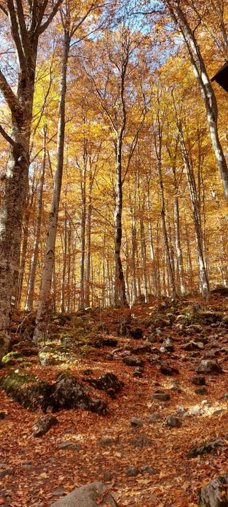 Bosco a Sapareva Banya (Bulgaria)