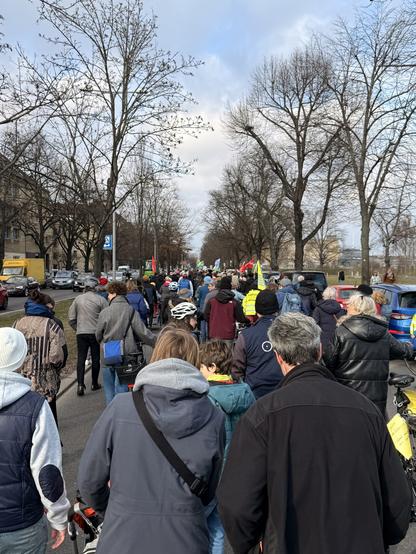 Foto der Menschenmenge der Demo von hinten.