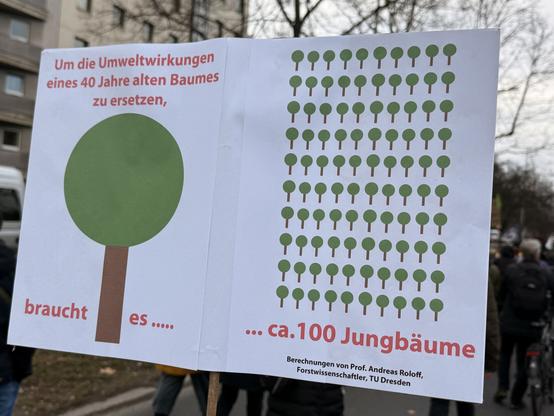 Foto eines Demo-Schilds mit Text und Grafiken: „Um die Umweltwirkungen eines 40 Jahre alten Baumes zu ersetzen braucht es ca. 100 Jungbäume“.