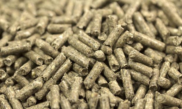 Pellets (Getty Images)