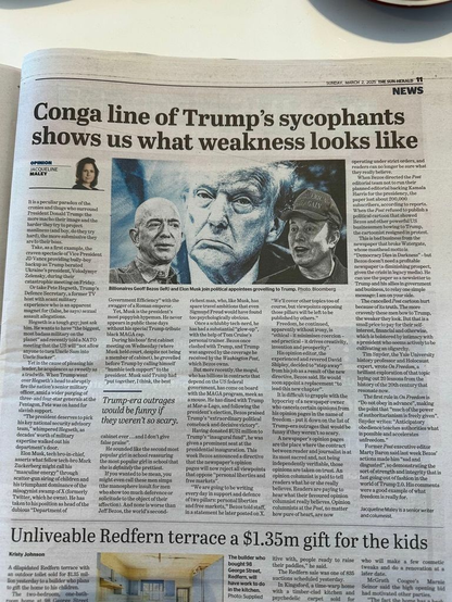 Photo of a newspaper article from the Sun Herald, Sunday 2 March 2025 (Sydney, Australia).
The headline: "Conga line of Trump's sycophants shows us what weakness looks like".
A photo in the centre of the article is a montage. In the middle, the face of Donald Trump is looking straight at the camera and scowling, and depicted in black-and-white tinted blue. In the bottom left corner, Jeff Bezos is looking at Trump in three-quarter profile, and depicted in black-and-white. In the bottom right corner, Elon Musk is looking at Trump in three-quarter profile, and depicted in black-and-white. He's wearing a cap with embroidered with a RWNJ political slogan, and has a goofy facial expression like a schoolboy who's trying to impress someone.