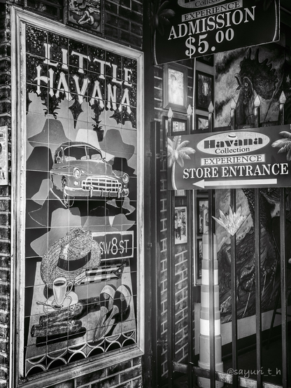 Street sign of “Havana Collection Store entrance” there’s a tile painting of classic car on the bricks wall