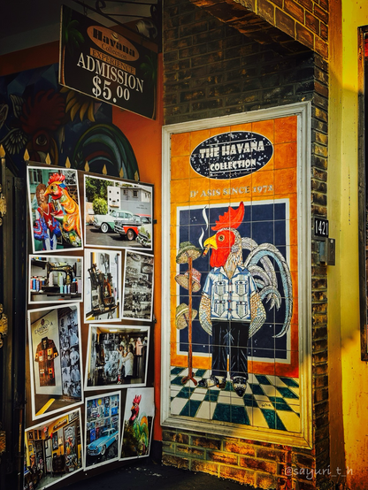 A rooster standing with cigarette painted with bright colors on the brick wall. There’s the store name “The Havana Collection “ painted above the rooster. On the left are the pictures of old Havana themes
