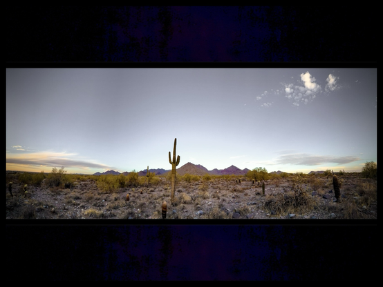 In this wide angle image, a cactus stands alone in the desert, with the McDowell Mountains in the background.