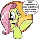Fluttershy, extremely JPEG compressed and low quality, saying "JPEG Compression is a simple and efficient way to reduce image filesize!"