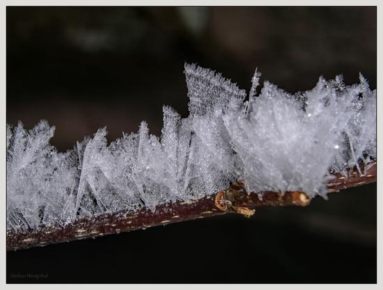 Nahaufnahme eines mit Reif bedeckten Zweigs, auf dessen Oberfläche sich verschlungene Eiskristalle gebildet haben. Der Hintergrund ist unscharf, wodurch die Details des Reifs hervorgehoben werden.
A close-up image of a frost-covered branch, featuring intricate ice crystals that have formed on the surface. The background is blurred, emphasizing the details of the frost.