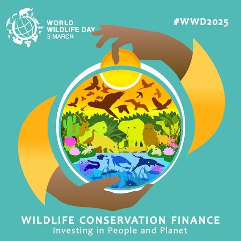World Wildlife Day 2025 poster, designed by Marc Petrelis. Inspired by the symbolic piggy bank, Marc’s poster reimagines this classic concept using the shape of our planet, encapsulating life from the oceans to the skies. A radiant coin, representing the sun’s life-giving energy, symbolizes the critical importance of investing in both people and the planet to sustain life on Earth.