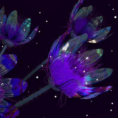 Rendering of magical flowers in a night scene. The petals resemble fairy wings, the flowers are filled with intense purple filaments, and the transparent petals have a metallic shimmer.