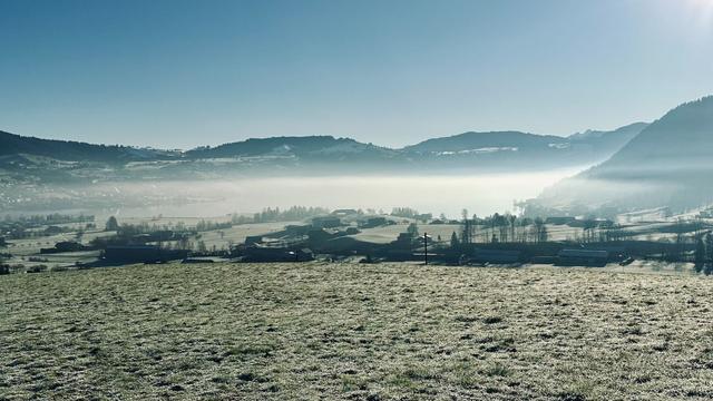 View past frost-covered pasture across the Ägeri valley on a sunny morning. Low fog hovers over the lake and forested hills can be seen in the distance.