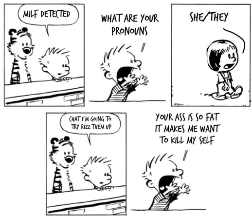an edited calvin & hobbes comic.

panel 1: calvin and hobbes standing by a wall. calvin says “milf detected”

panel 2: closeup of calvin. he calls out “what are your pronouns”

panel 3: susie is walking by. she replies “she/they”

panel 4: calvin and hobbes by the wall. calvin says “chat i’m going to try to rizz them up”

panel 5: closeup of calvin. he calls out “your ass is so fat it makes me want to kill my self”