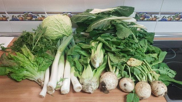 Contenido de la cesta de la semana sobre una encimera de cocina.
Al frente se ve una lechuga, puerros, dos pan chois y cuatro nabos.
Y detrás, un manojo de rúcula, un repollo y acelgas.