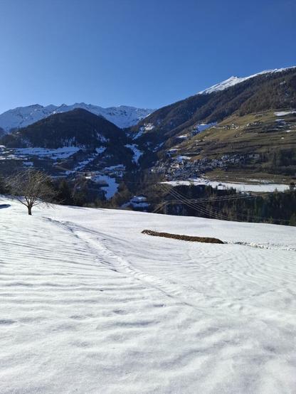 The image depicts a serene winter landscape with snow-covered ground in the foreground. On the left side, a solitary cherry tree stands with bare branches. In the middle of the image, there is a heap of solid manure partially exposed through the snow. The backdrop consists of snow-capped mountains, green slopes, and a village nestled within the valley. The sky is clear and blue, indicating a bright and sunny day. Power lines run diagonally across the image, adding a touch of modern infrastructure to the otherwise natural setting.