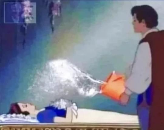 blanche neige se fait réveiller par un seau d'eau