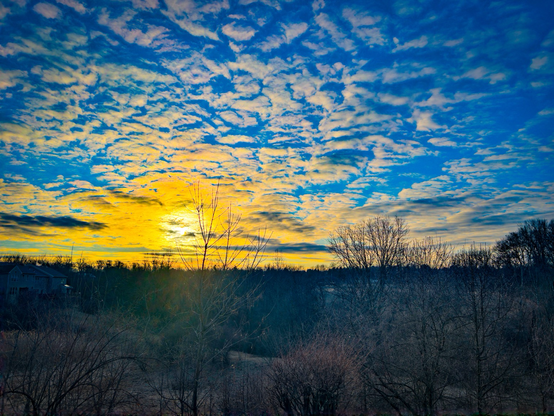 Winter sunrise