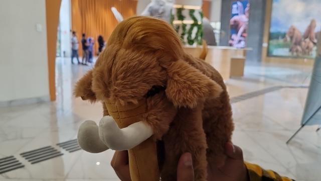 A person is holding a stuffed toy mammoth in a museum. In the background, other people and exhibits can be seen, suggesting a museum setting.