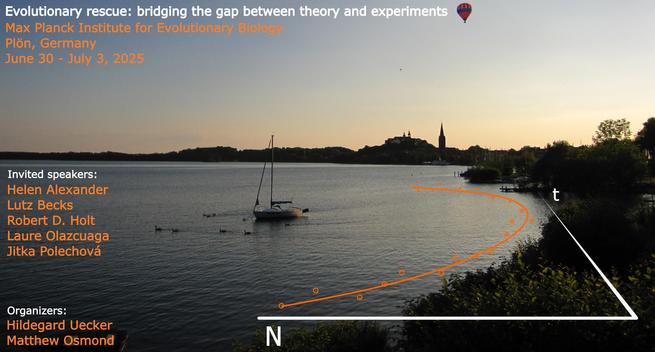 poster for the workshop. photo of plön lake with cartoon rescue curve. details redundant with text of post.
