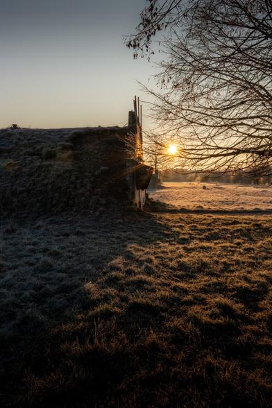 Early mornings, frosty fields, and the magic of sunrise. 🌅✨ There’s something special about stepping outside when the world is still quiet, feeling the crisp air, and watching the first light paint the sky. Photography is all about capturing these fleeting moments—the ones that remind us to slow down and appreciate the beauty around us.