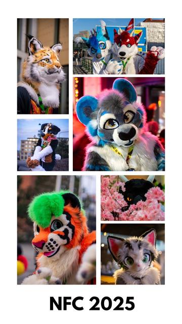 A collage showing some highlights of my fursuit photography at NordicFuzzCon 2025