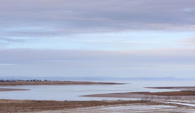 A flat, peaceful looking coastline, with striations of clouds in the sky above. There are brown low spits of land jutting into the water, the distant ones with evergreen trees that look small in the distance. There is either a darker cloud on the horizon or a distant shoreline, it's not possible to tell which.