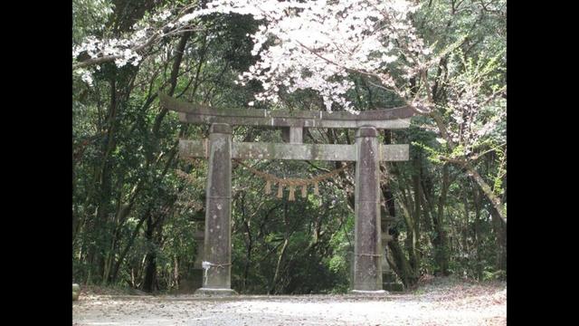 白石神社(撮影日時:2011/04/09)(撮影場所:佐賀県みやき町)