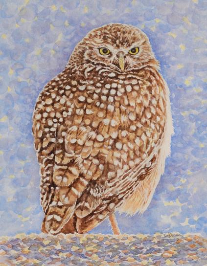 Watercolor painting of a burrowing owl. Soft blue and lavender background.