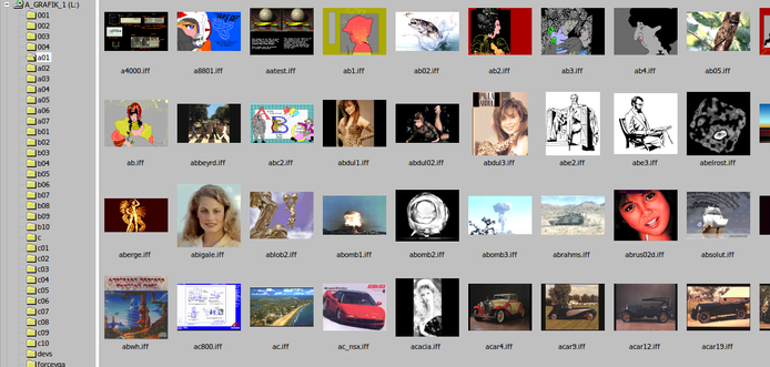In this image there a screenshot of IrfanView running via Wine on my linux manjaro, there are several thumbnails of IFF images from a folder, coming from a mounted CD Rom filled with IFF files