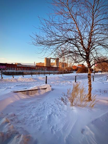 The image depicts a snowy urban landscape bathed in golden light, likely in the late afternoon. A leafless tree stands in the foreground, next to some dry grasses emerging from the snow. A concrete structure is partially buried under the snow, and a row of posts lines a cleared path. In the background, a large industrial brick building with silos dominates the horizon, adorned with graffiti. The sky is clear and blue, creating a striking contrast with the white snow and the warm hues of the setting sun.