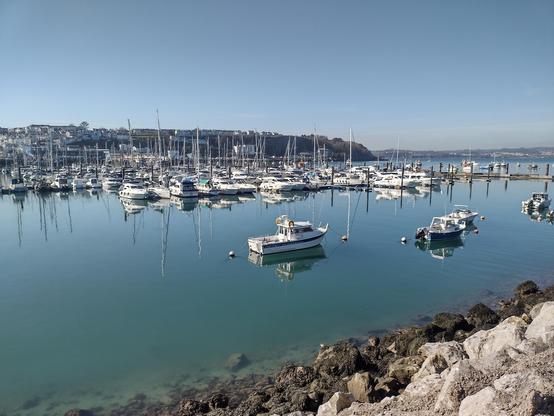 A view from the Brixham breakwater, looking out over the absolutely still water of the marina. Some smaller fishing boats can be seen in the foreground. Lots of sailing boats and their masts can be seen in the background.
