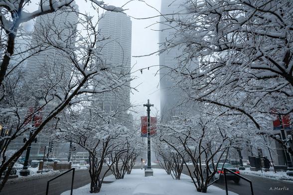 State Street, looking north from the center median towards the Chicago River and the Marina City towers, February 1, 2015. 

Edited and posted to Flickr in January 2025.

© Andy Marfia 2015 All Rights Reserved

<a href="http://andymarfiaphoto.com/" rel="noreferrer nofollow">Web Site</a>  |  <a href="http://www.flickr.com/photos/abmarfia/">Flickr</a> | <a href="https://www.facebook.com/AndyMarfiaPhotography" rel="noreferrer nofollow">Facebook</a> | <a href="https://instagram.com/andymarfia/" rel="noreferrer nofollow">Instagram</a> | <a href="https://universeodon.com/@andymarfia" rel="noreferrer nofollow">Mastodon</a>