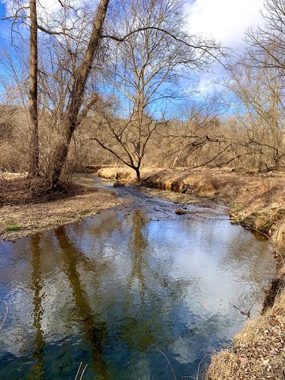 A small creek winds through the woods under the partly sunny sky. The wind ripples the surface of the water, yet it still reflects the sky and the bare winter trees.
