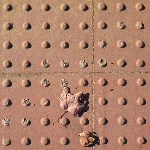 Red-brown leaf on a sidewalk ramp of the same color