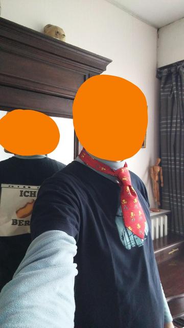 Devant une armoire avec un grand miroir (qui permet de montrer mon dos), j'ai masqué mon visage d'une pastille orange. Je porte un T-shirt bleu à manches courtes, évoquant Berlin (Funkturm, grues et chantiers à gogo) par-dessus un sweat-shrt bleu ciel à manches longues. j'ai par-dessus tout çà une cravatte rouge à motif de Bart Simpson, j'ai fat en sorte que la cravatte soit très courte.
Dans le miroir, on aperçoit le panneau que j'ai dans le dos avec les inscriptions partielles "ich... et "Ber".
