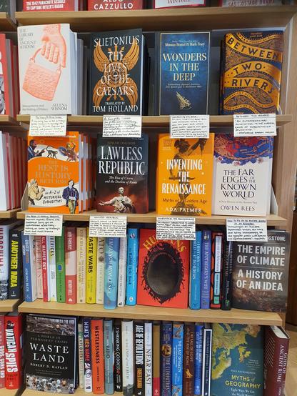 Rows of books in a bookstore bookshelf, some with little cards containing handwritten reviews.